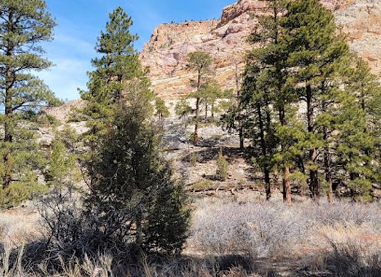 utah/dixie-national-forest/landmark/box-death-hollow-wilderness