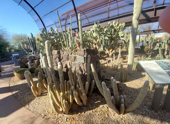 arizona/phoenix/landmark/desert-botanical-garden