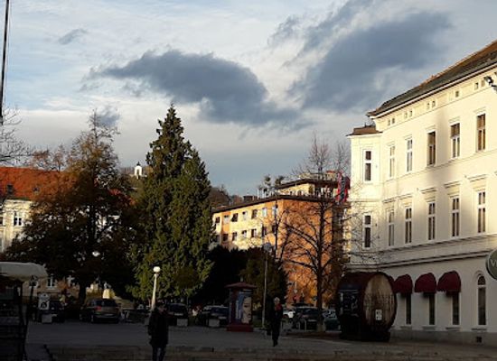 slovenia/maribor/landmark/trg-leona-stuklja