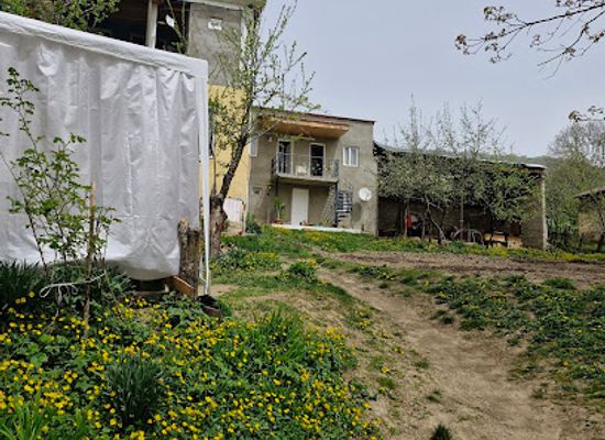 georgia/svaneti/landmark/lerimari-guest-house