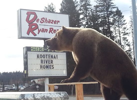 montana/the-cabinet-mountains/landmark/deshazer-ryan-realty