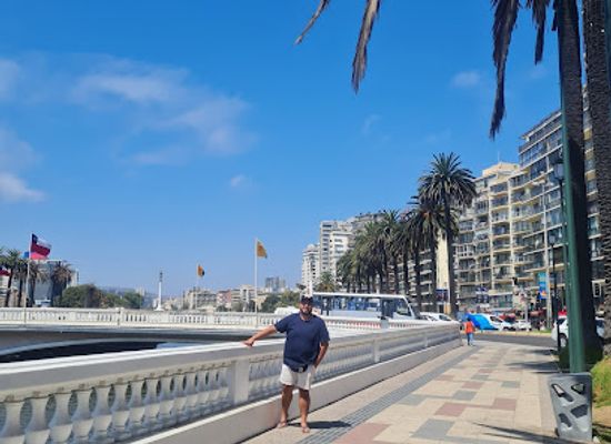 chile/vina-del-mar/landmark/vina-del-mar-chile