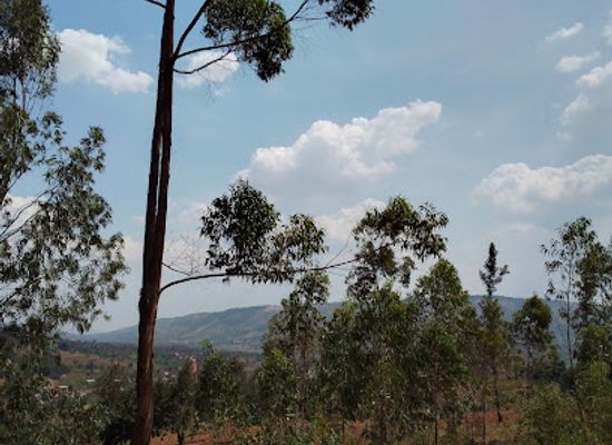 rwanda/northern-province/landmark/rwandasnatureexperiance