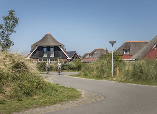 netherlands/texel-island/landmark/landal-sluftervallei