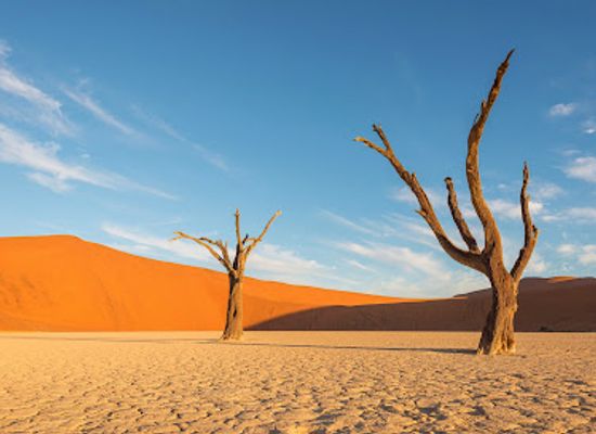 namibia/sossusvlei/landmark/deadvlei-hiking-trail