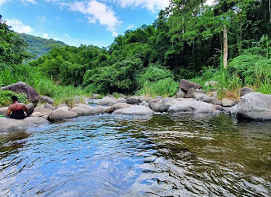 jamaica/st-thomas-lowlands/landmark/castleton-botanical-gardens