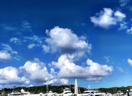 australia/port-douglas/landmark/abc-snorkel-charters