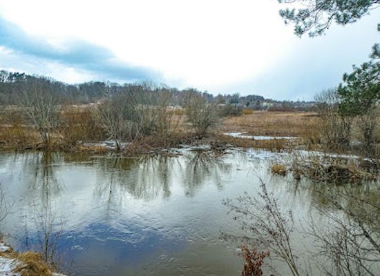latvia/abava-river-valley/landmark/cuzu-bog-nature-trail