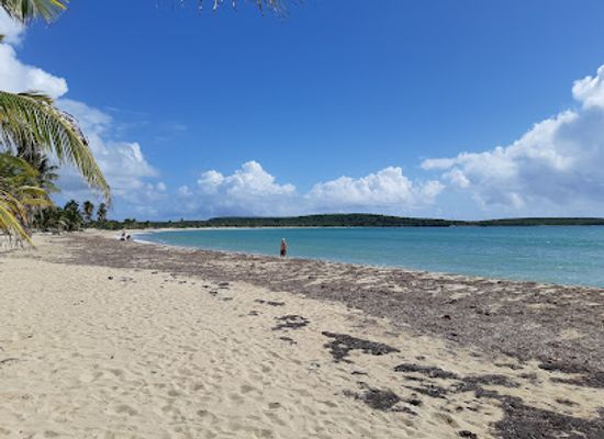 puerto-rico/vieques-island/landmark/sun-bay-beach
