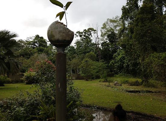 papua-new-guinea/lae/landmark/lae-botanic-gardens