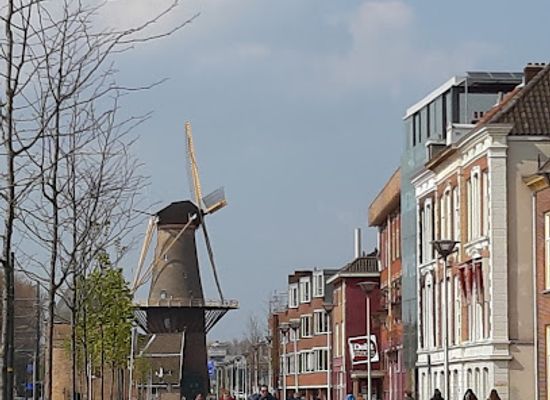 netherlands/delft/landmark/galerie-lutz