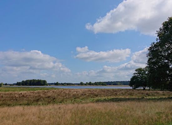 netherlands/drenthe/landmark/boswachterij-gees