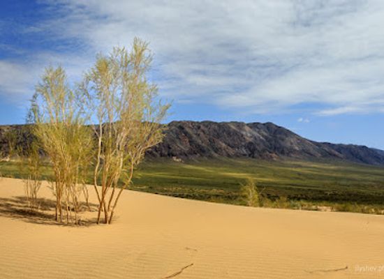 kazakhstan/altyn-emel-national-park/landmark/poyushchiy-barkhan