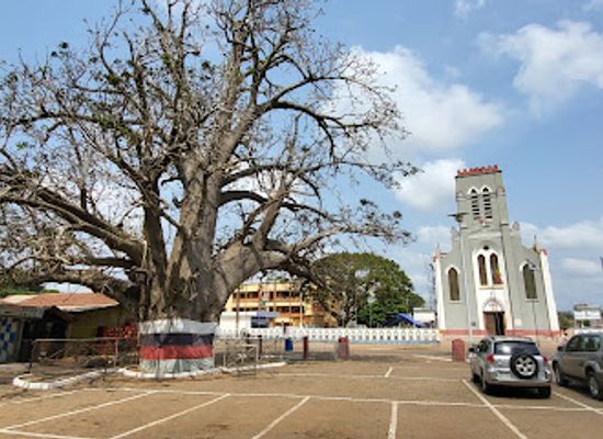 benin/mono/landmark/pythons-temple