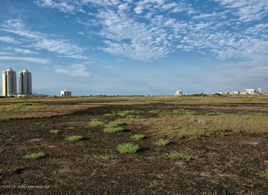 texas/galveston/landmark/east-end-lagoon-nature-preserve