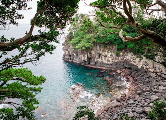 japan/izu/landmark/izu-oceanic-park