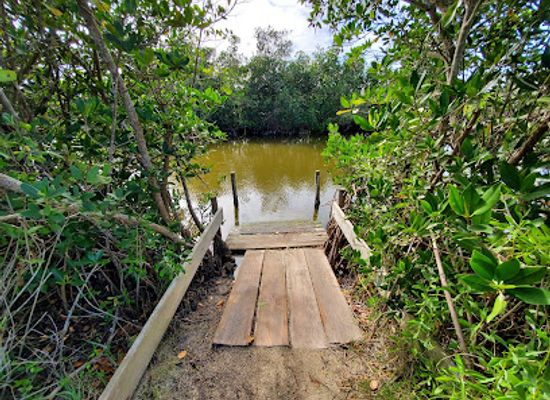 florida/space-coast/landmark/pine-island-conservation-area