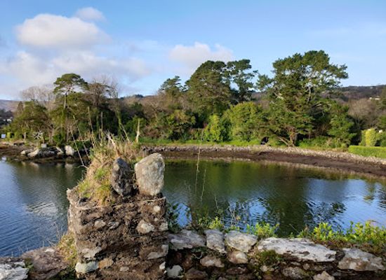ireland/county-kerry/landmark/bamboo-park-pairc-bambu