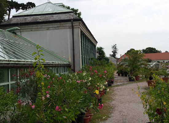 hungary/transdanubia/landmark/palm-house-helikon-castle-museum