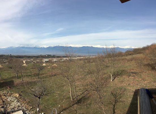 georgia/telavi/landmark/jakeli-wines
