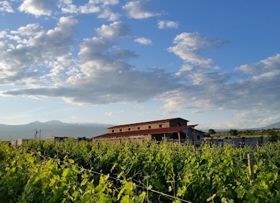 armenia/aragatsotn/landmark/van-ardi-winery