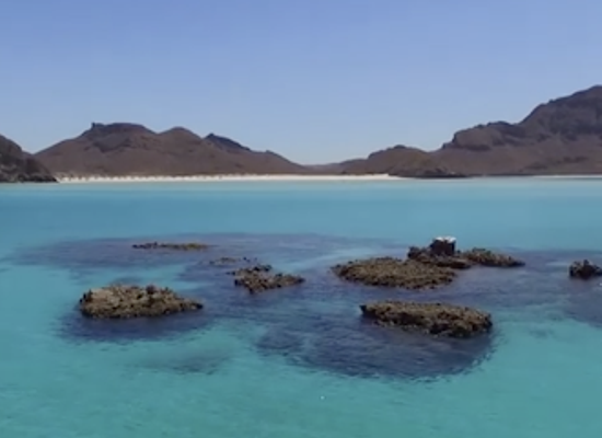 mexico/baja-california-peninsula/landmark/visit-baja-sur