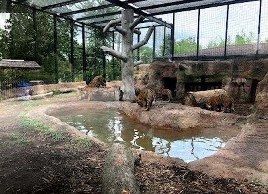 kansas/topeka/landmark/topeka-zoo