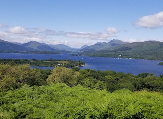 united-kingdom/loch-lomond-&-the-trossachs-national-park/attraction/loch-lomond-national-nature-reserve-inchcailloch-2