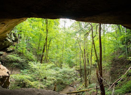 indiana/hoosier-national-forest/landmark/hemlock-cliffs