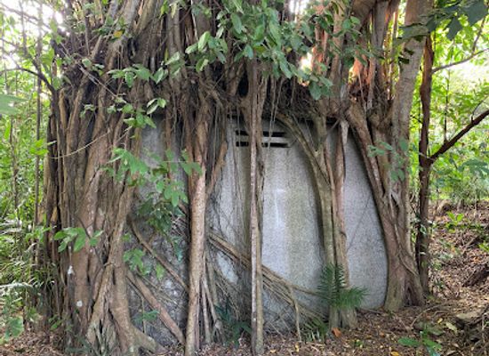 singapore/sembawang/landmark/gibraltar-crescent-bunker