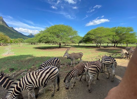 mauritius/savanne/landmark/casela-nature-parks