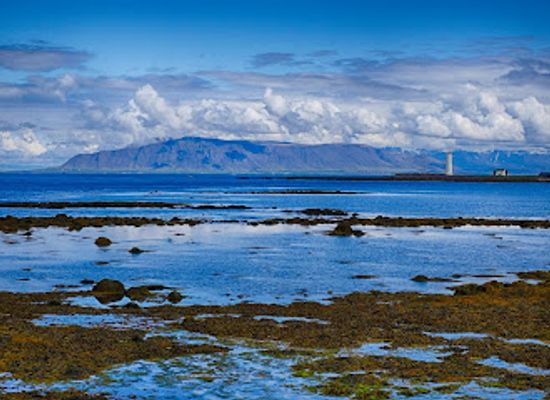 iceland/north-iceland/landmark/suournesvaroa