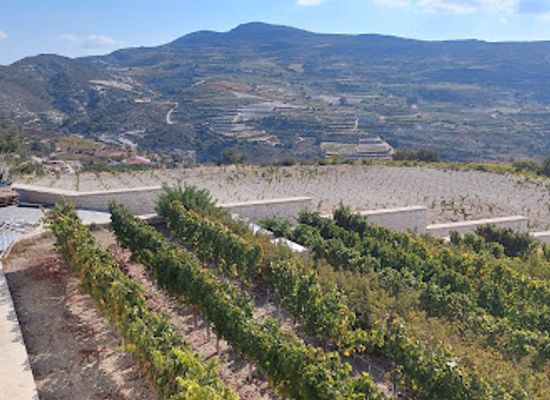 cyprus/troodos/landmark/oenou-yi