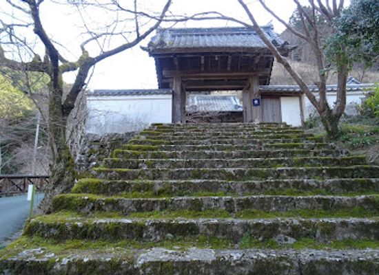 japan/shikoku/landmark/seigenji