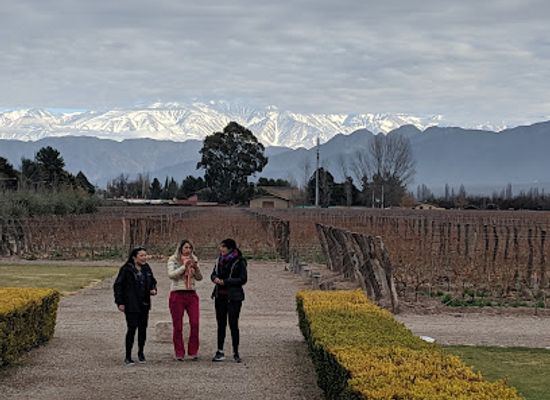 argentina/mendoza/landmark/mendoza-wine-experience