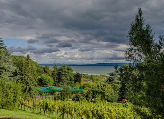 hungary/lake-balaton/landmark/folly-arboretum-and-winery