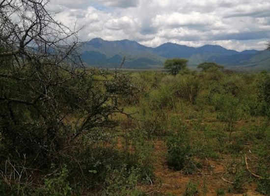 kenya/samburu-region/landmark/namunyak-wildlife-conservancy