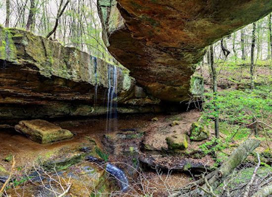 ohio/wayne-national-forest/landmark/rockbridge-state-nature-preserve