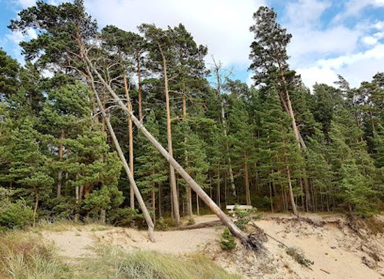 latvia/pape-nature-reserve/landmark/pusenu-kapa