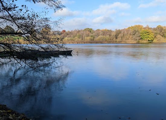 united-kingdom/cheshire/attraction/marbury-country-park-2