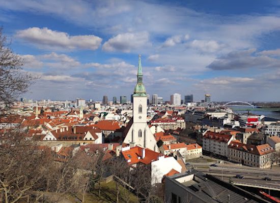 slovakia/bratislava/petrzalka/landmark/great-moravian-basilica-at-bratislava-castle-remains