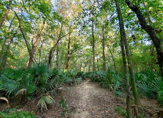 alabama/upland-south/landmark/bottle-creek-indian-mounds-trailhead