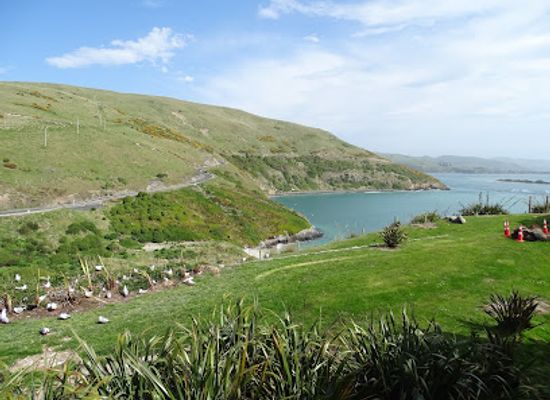 new-zealand/otago/landmark/pilots-beach