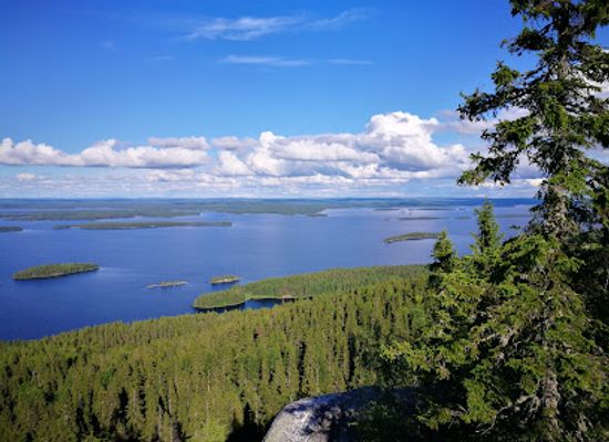 finland/savo/landmark/koli-national-park