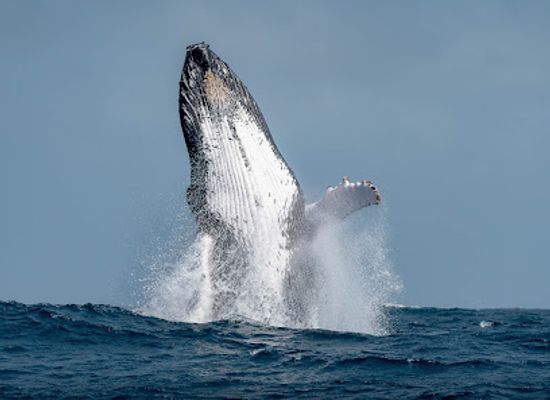 cabo-verde/sal/landmark/cabokaitours