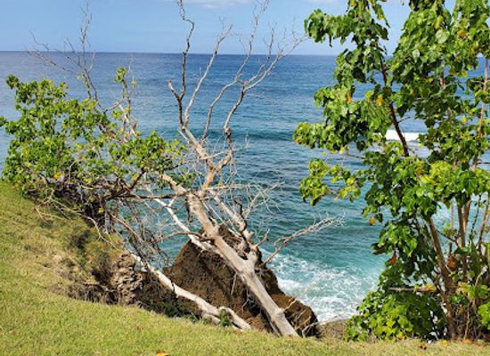 puerto-rico/yunque-national-forest/landmark/el-faro-de-rincon