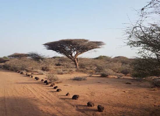 djibouti/goda-mountains/landmark/decan-refuge