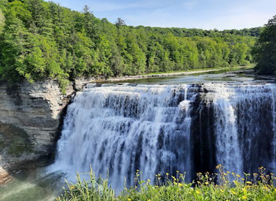 new-york/letchworth-state-park/landmark/balloons-over-letchworth