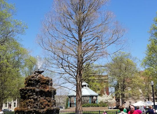 michigan/holland/landmark/centennial-park