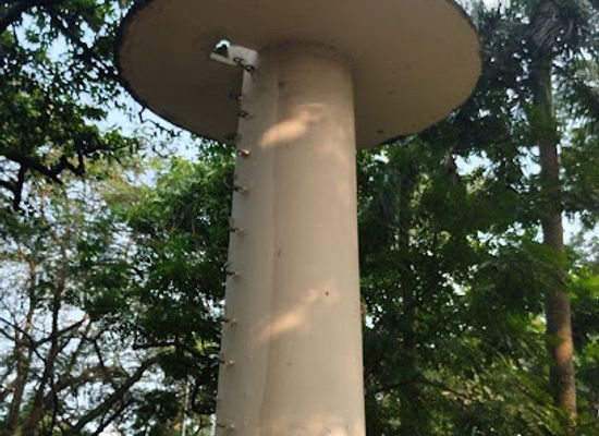 bangladesh/madhupur-tract/landmark/ramna-park-water-tank